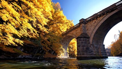 Bridge stretches gracefully from low angle, bridge spanning calm river through forest framed by golden autumn trees and blue sky, highlighting seasonal beauty and perfect natural symmetry.