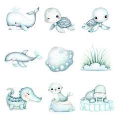Cute marine life illustrations featuring whales, turtles, and seals in soft colors. Ocean Animals isolated on white background, Transparent Background