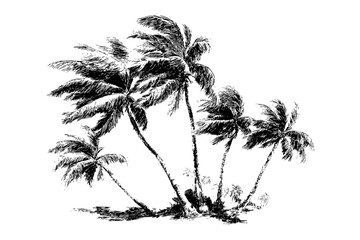 Tropical Palm Trees Vector Art Sketch with Coastal Line Drawing Landscape