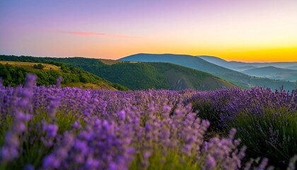 Obraz premium Sunrise 