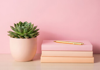 A potted succulent sits next to a stack of pastel books