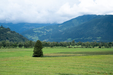 Beautiful green valley with a single tree on a meadow and mountain range in the background under a cloudy sky. Peaceful summer landscape, nature and travel concept.