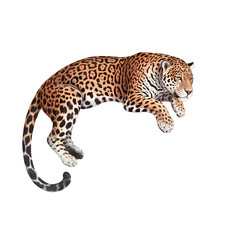 Fototapeta premium Powerful jaguar resting, a captivating glimpse into the wild, perfect for nature documentaries, wildlife conservation campaigns, or educational resources about jungle animals