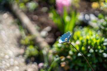 Handmade Ceramic Flower Ornament in a Sunny Garden