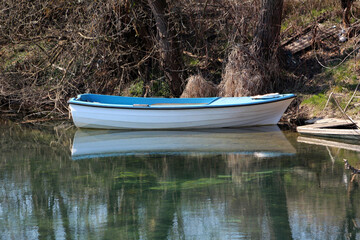 Fototapeta premium A small white rowboat with a blue interior floats quietly on clear, still water near the shore, surrounded by natural vegetation and bare trees, creating a tranquil riverside scene
