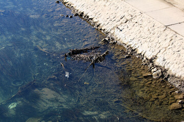 A concrete embankment lines a shallow river edge, where transparent water reveals rocks, branches, and urban debris accumulated beneath the surface and along the shore