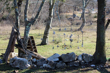 A rustic garden display features rocks tied on strings hanging between trees, surrounded by mossy stones, wooden planks, and wild grass in a sunlit rural clearing