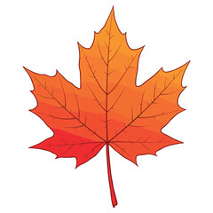 Obraz premium Vibrant multicolored maple leaf with autumn hues