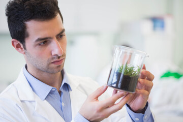 Male scientist wearing lab coat examining glass beaker with soil and seedlings in bright laboratory