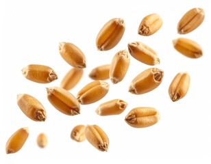 A detailed macro shot of individual whole wheat grains scattered on a white background.