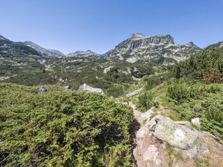 Pirin Mountain near Popovo Lake, Bulgaria