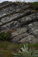Naklejka premium rocks in the mountains