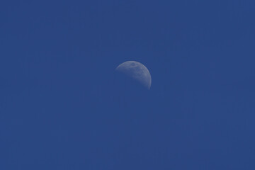 Half moon in daylight on a clear blue sky