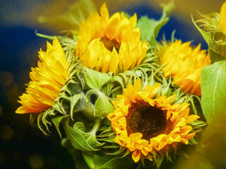 A bouquet of sunflowers with green leaves. The flowers are yellow and have a bright, cheerful appearance. The arrangement is full and lively, giving off a sense of warmth and happiness. 
