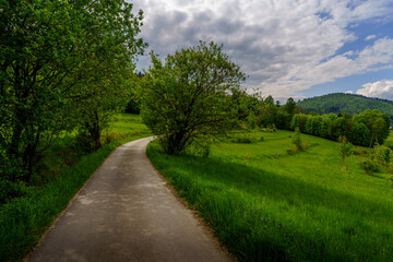 Curving rural road through green meadow with distant mountains