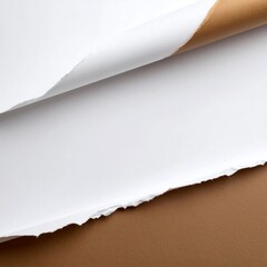 Ripped paper background