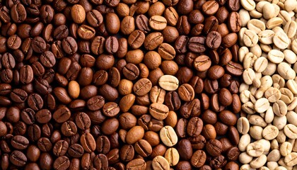 Roasted and unroasted coffee beans
