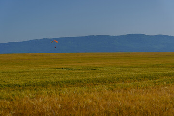Paraglider over golden wheat field with mountains and clear sky