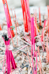 Pink incense sticks in buddhist temple