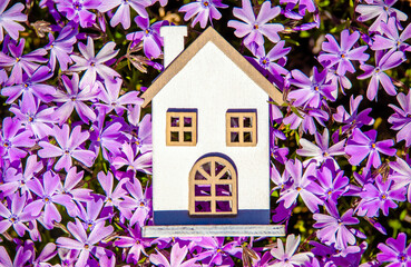 The symbol of the house stands among the purple flower

