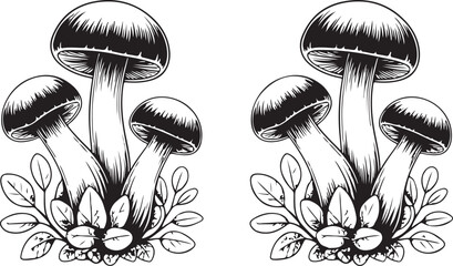 Detailed vintage botanical illustration of two clusters of mushrooms with leaves isolated on transparent background