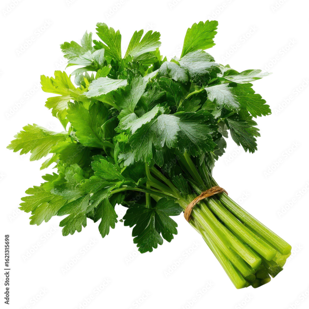 Poster bunch of parsley and celery isolated on transparent or white background. a high resolution png image