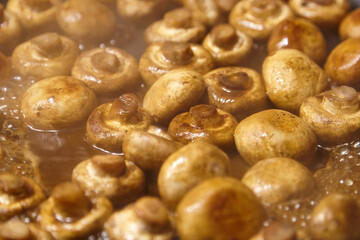 Fresh mushrooms are being sauteed in a pan, surrounded by bubbling oil and steam, showcasing the...