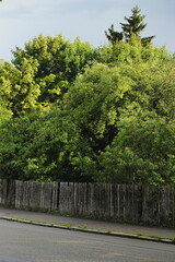 wet asphalt, water puddle, tree reflection, urban nature, moody weather, storm clouds, dramatic sky, European village, red roofs, solar panels, balcony rain, raindrops, wooden fence, green trees