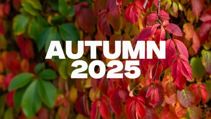 A leafy green background with a red leaf on it.