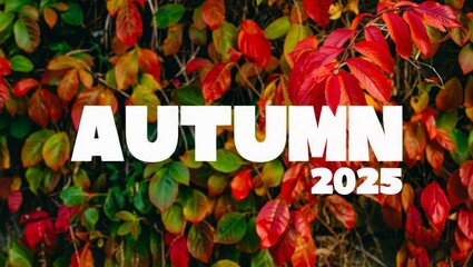 A leafy green background with a red leaf on it.