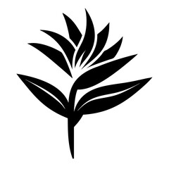 Bold Black and White Bird of Paradise Flower Botanical Illustration Design