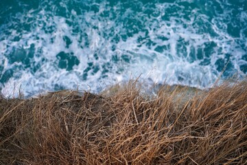 water and grass