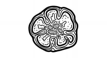 Detailed Medical Lobule Hand Drawn Sketch in Black and White Featuring Convoluted Outline Cellular Structures and Intricate Inner Components Perfect for Educational Medical Illustration