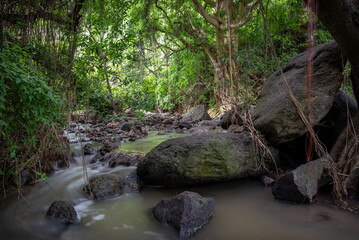 Río natural en medio de la selva 
