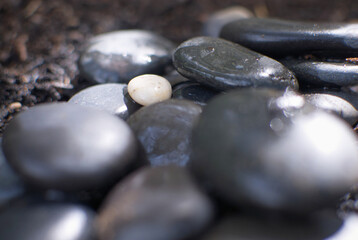 A little white stone surrounded by many black ones.