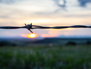 Barbed wire sunrise