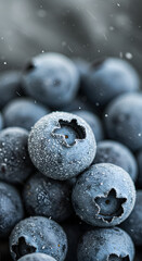 Blueberries with frosted misty coating v3