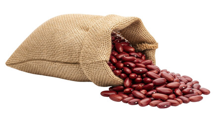Isolated Red Kidney Beans Spill