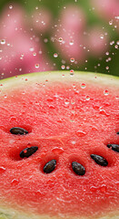 Watermelon with translucent juicy shine v3