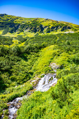 A pristine mountain creek winds through verdant hills, glistening in the sunlight. The surrounding landscape features rich greenery, emphasizing the natural beauty of the tranquil setting.