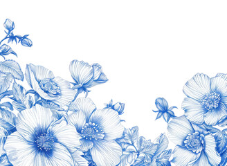 PNG Vintage drawing primrose flowers pattern nature white.