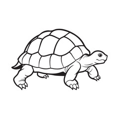 Charming Outline Illustration of a Friendly Turtle with a Textured Shell and Four Feet