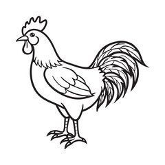 Simple Outline Drawing of a Rooster with Elaborate Tail Feathers and Detailed Comb and Wattle