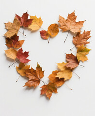 many autumn leaves form a love on a white background