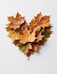 many autumn leaves form a love on a white background