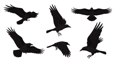 Six Black Crows in Flight: Diverse Poses and Wingspans Illustrated