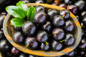 Exotic and delicious Jaboticaba fruits, a fruit of Amazonian origin