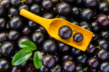Exotic and delicious Jaboticaba fruits, a fruit of Amazonian origin