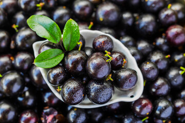 Exotic and delicious Jaboticaba fruits, a fruit of Amazonian origin