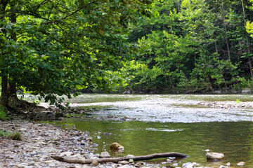 Scenic View of South Branch Potomac River in Monongahela National Forest, West Virginia